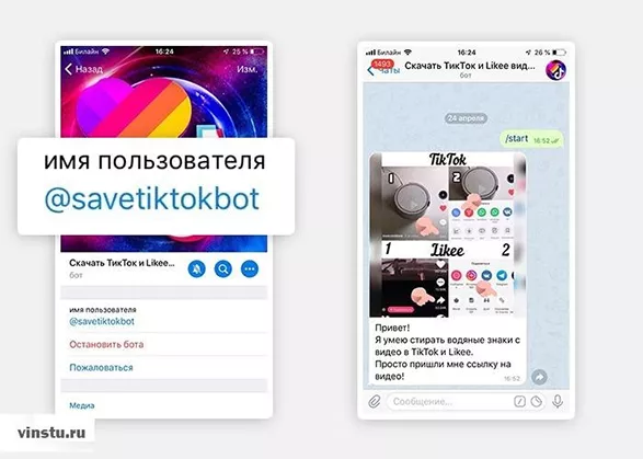 Скачать видео с Тик Тока без водяного знака через Telegram бота